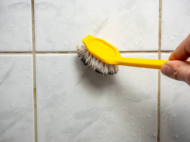 Best Local Mold Removal Service  in Hannibal, MO